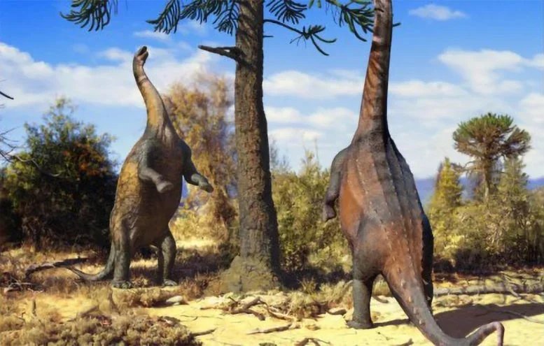 These Giant Long-Necked Dinosaurs Could Stand Upright and Scientists Finally Figured Out Why Two Neuquensaurus Stand on Their Hind Legs
